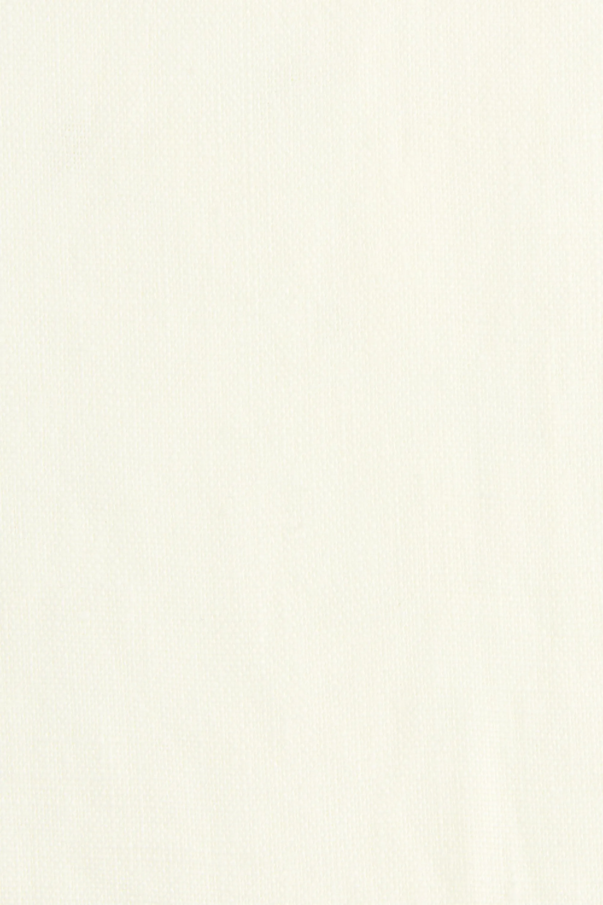 Ilride Top White - Final Sale