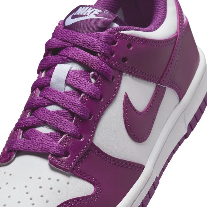 Y Nike Dunk Low FB9109-110