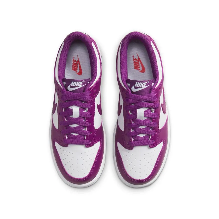 Y Nike Dunk Low FB9109-110